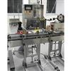 Image Solid Dose Packaging Line   1622454